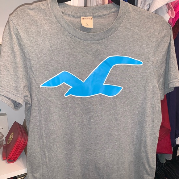 hollister shirts